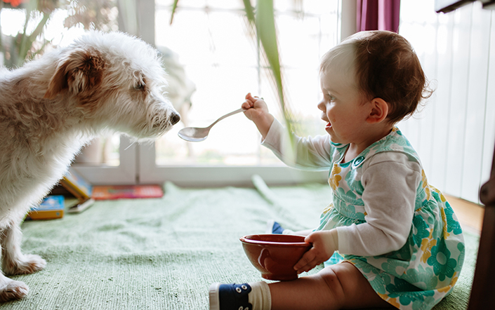 Dog And Child